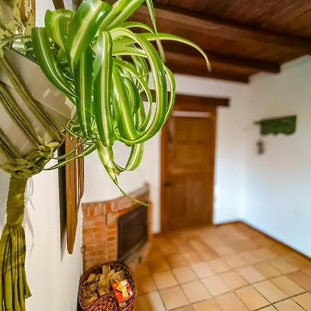 Casita Aetheria
